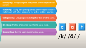 The steps of reading and pronouncing a word: Identifying, Matching, Categorizing, Blending, Segmenting