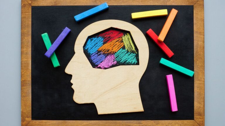 A brain drawn on a chalkboard with each region in a different color